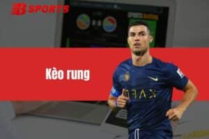 Kèo Rung Là Gì? Cách Chơi Kèo Rung Hiệu Quả Tại BTY523