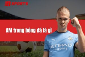 AM trong bóng đá là gì? Vai trò của vị trí cùng top AM đỉnh cao