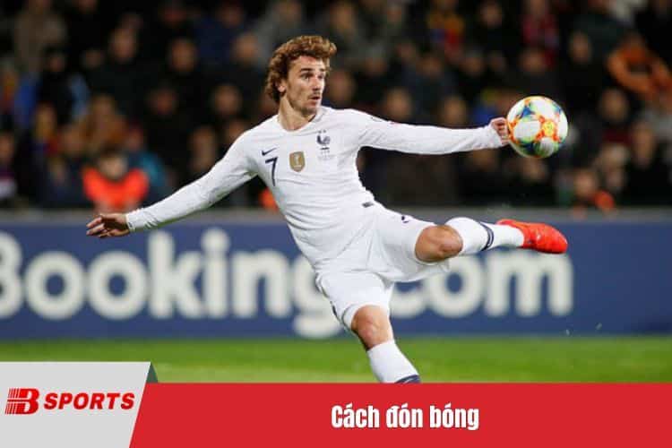 Hướng dẫn luyện tập